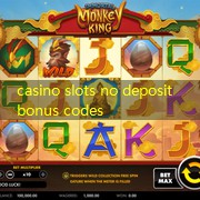 casino slots no deposit bonus codes